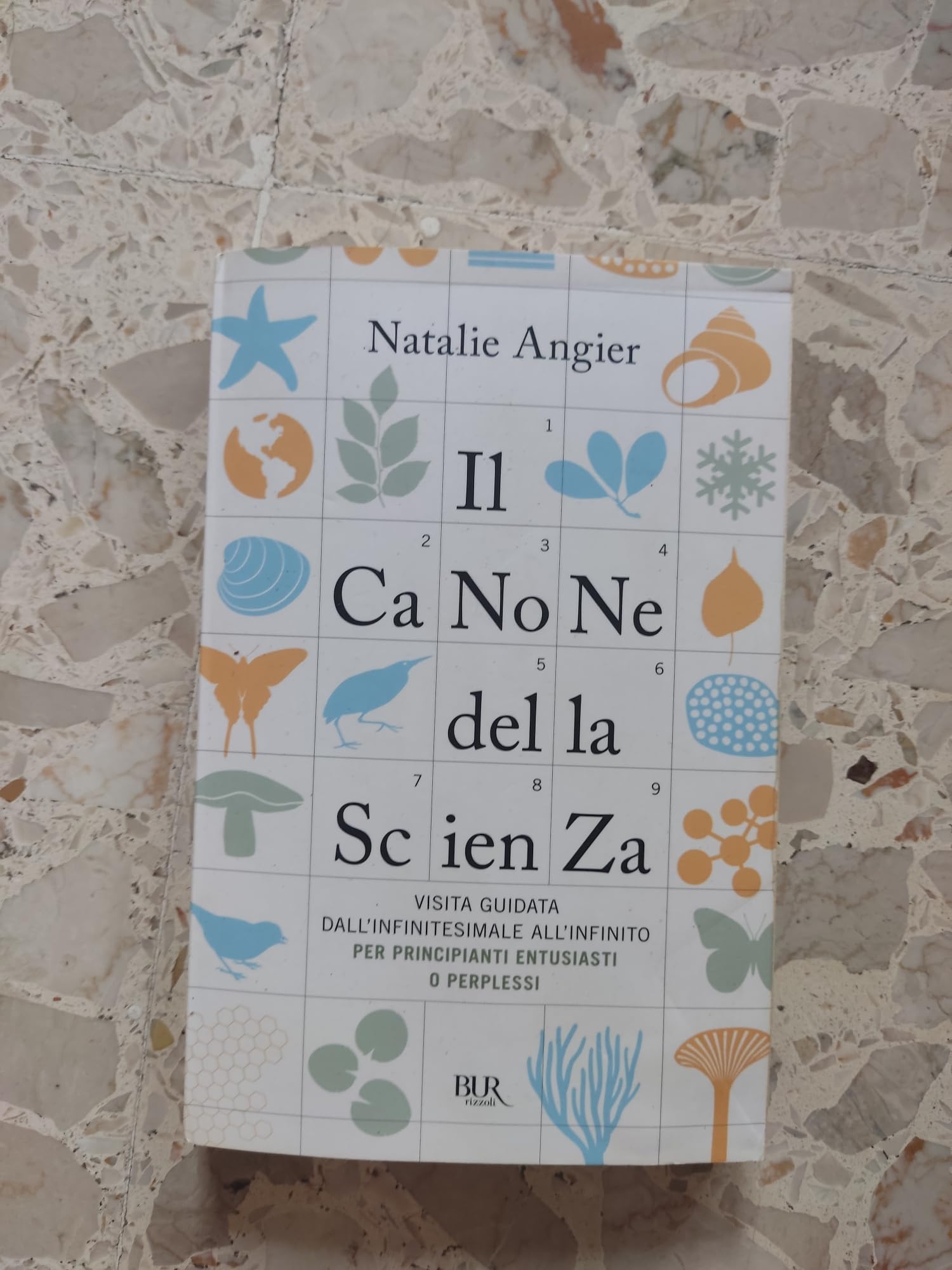 Il canone della scienza. Visita guidata dall'infinitesimale all'infinito per principianti entusiasti o perplessi (BUR Saggi) Natural Sciences