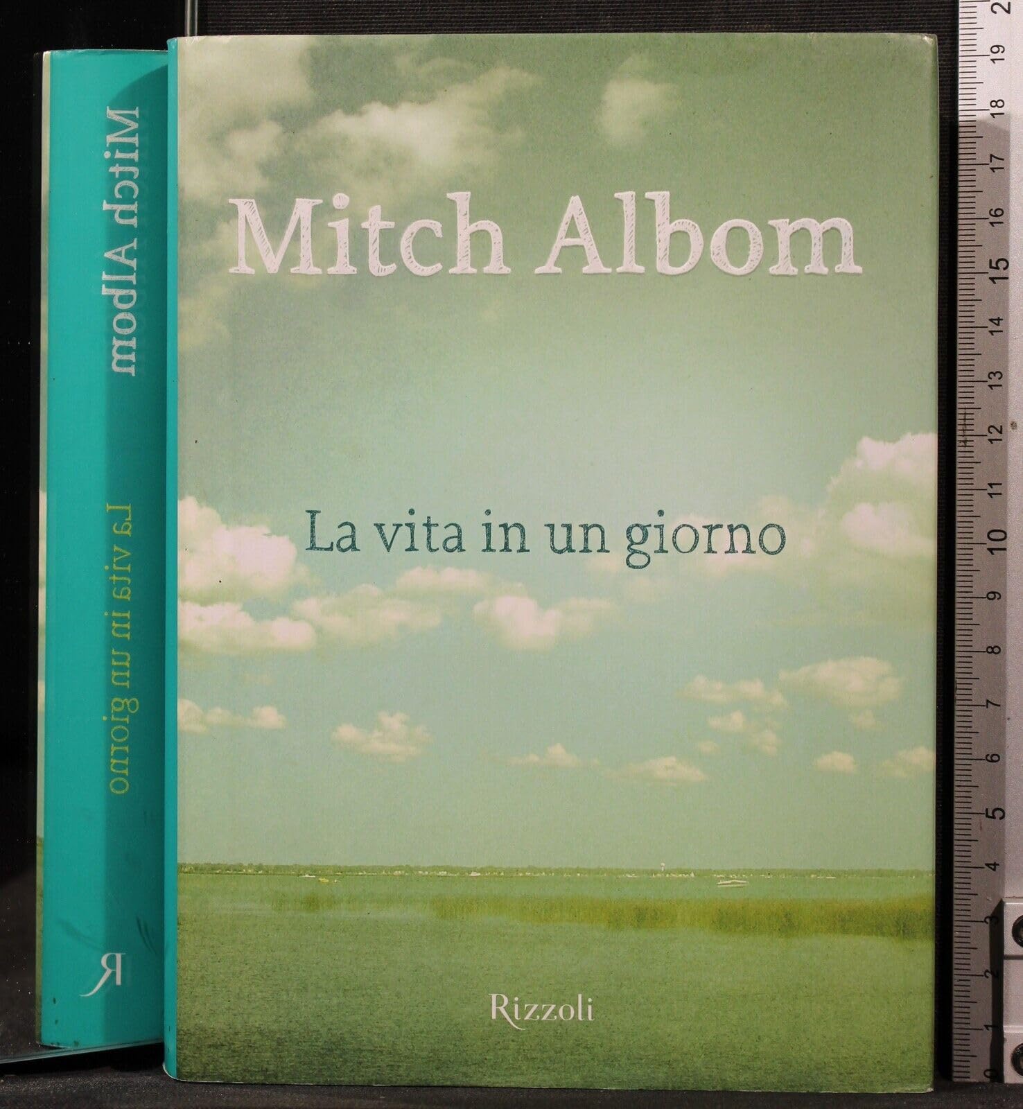 La vita in un giorno (Rizzoli best) Contemporary literature