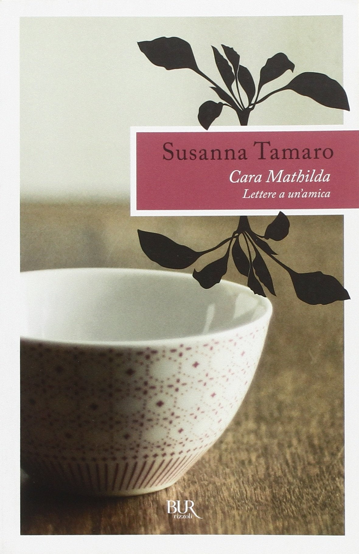Cara Mathilda - Lettera a un'amica book