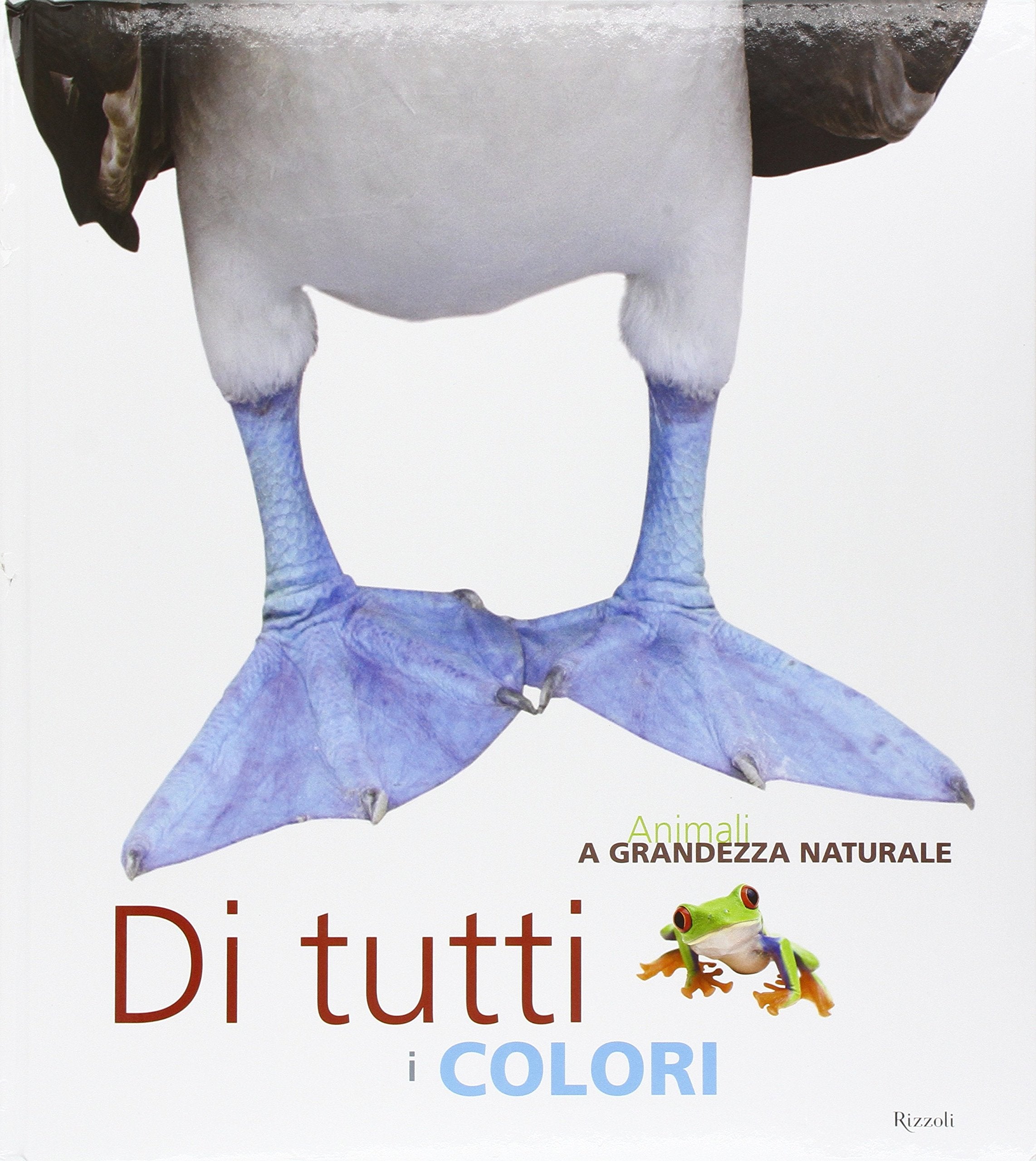 Animali a grandezza naturale. Di tutti i colori. Ediz. illustrata book