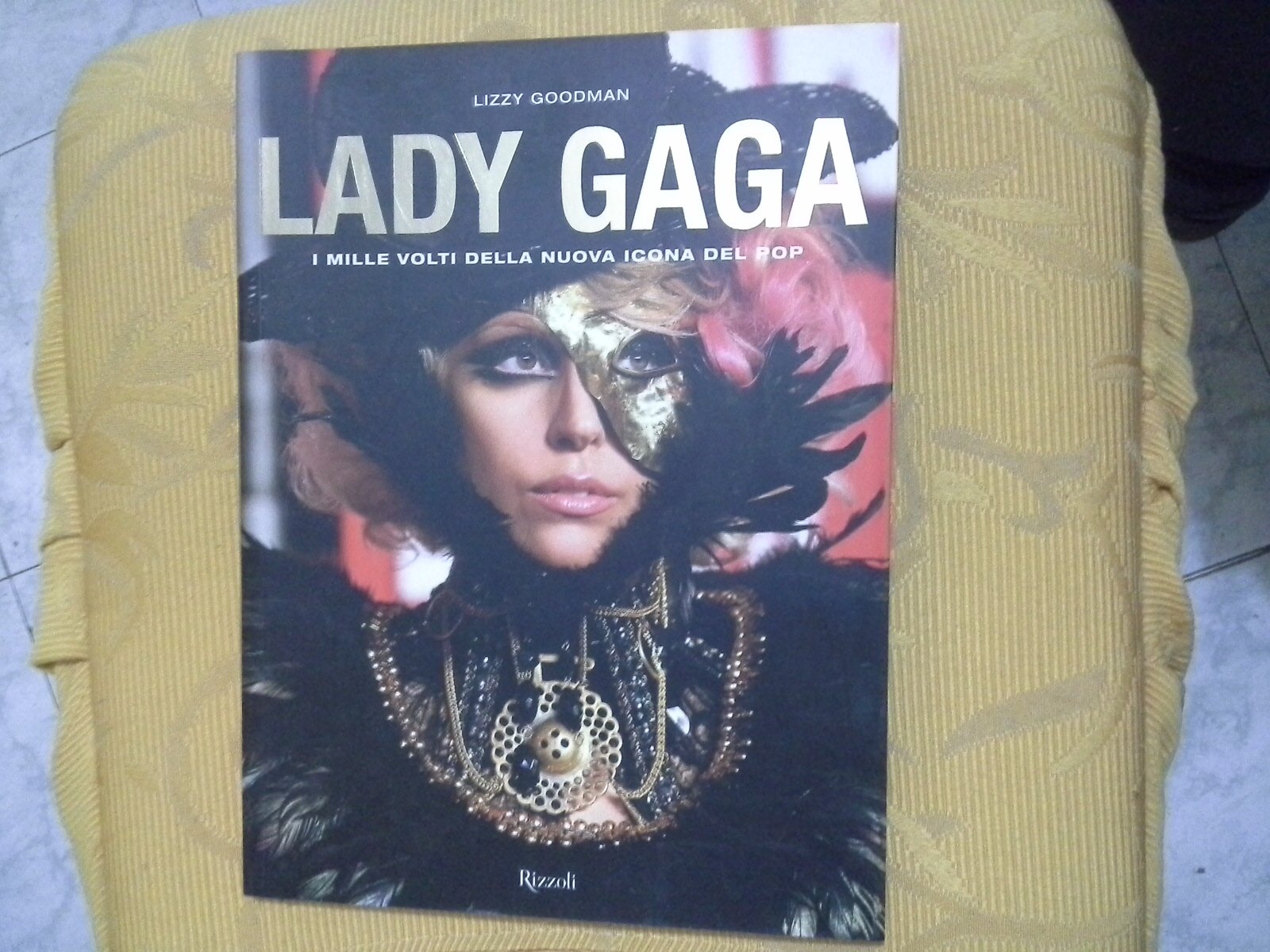 Lady Gaga. I mille volti della nuova icona del pop. Ediz. illustrata book
