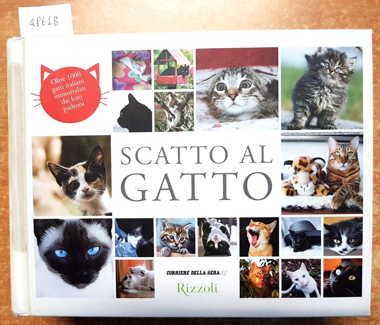 Scatto al gatto. Oltre 1000 gatti italiani immortalati dai loro padroni. Ediz. illustrata (Varia) Travel