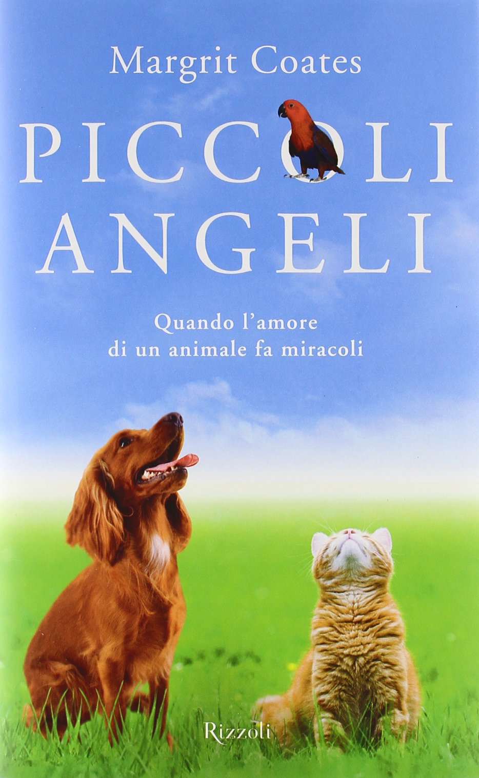 Piccoli angeli. Quando l'amore di un animale fa miracoli book
