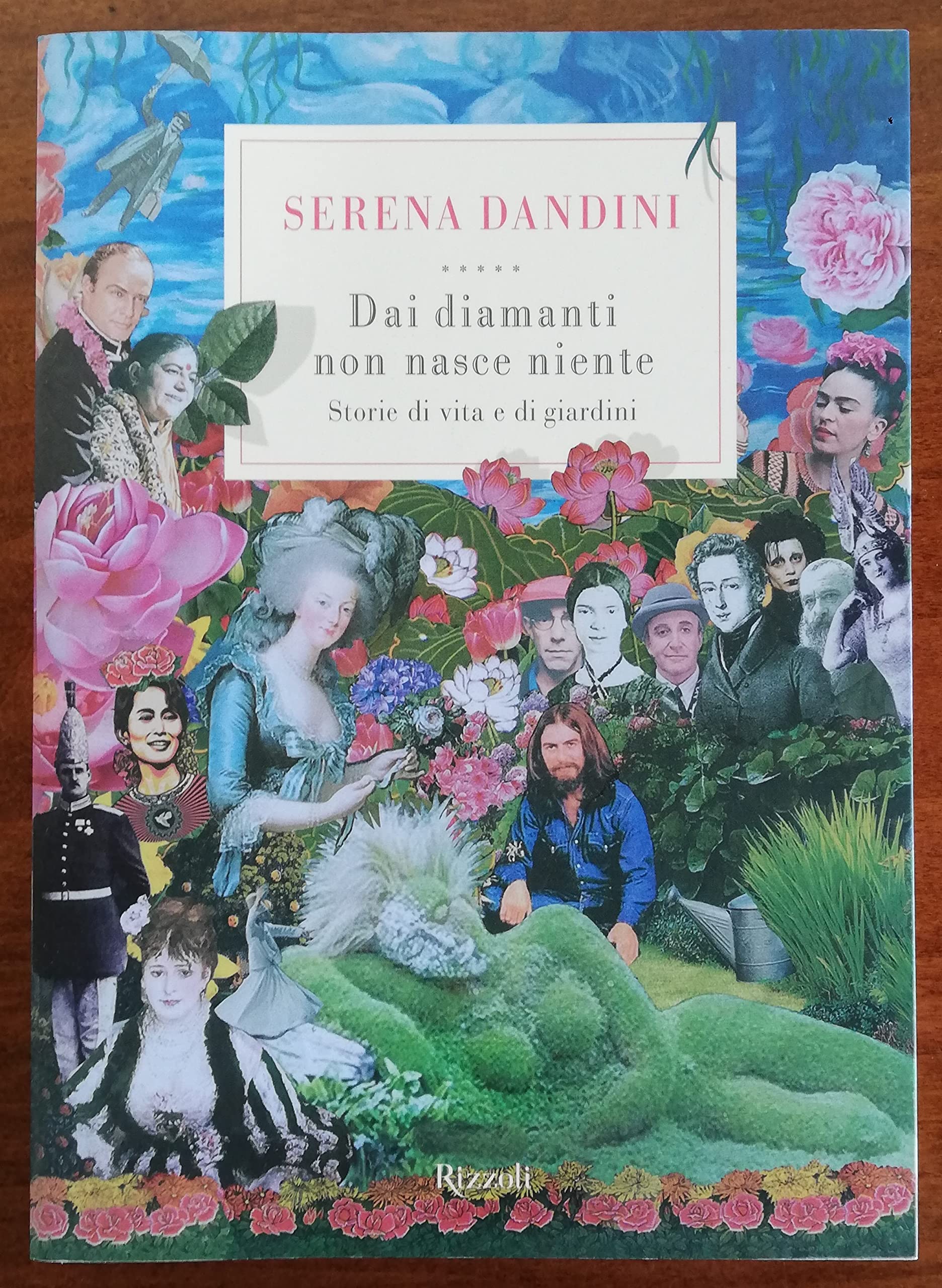 Dai Diamanti Non Nasce Niente (Di tutto di più) Books