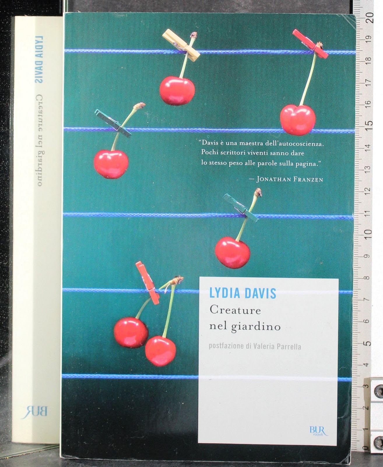 Creature nel giardino (BUR Scrittori contemporanei) Contemporary literature
