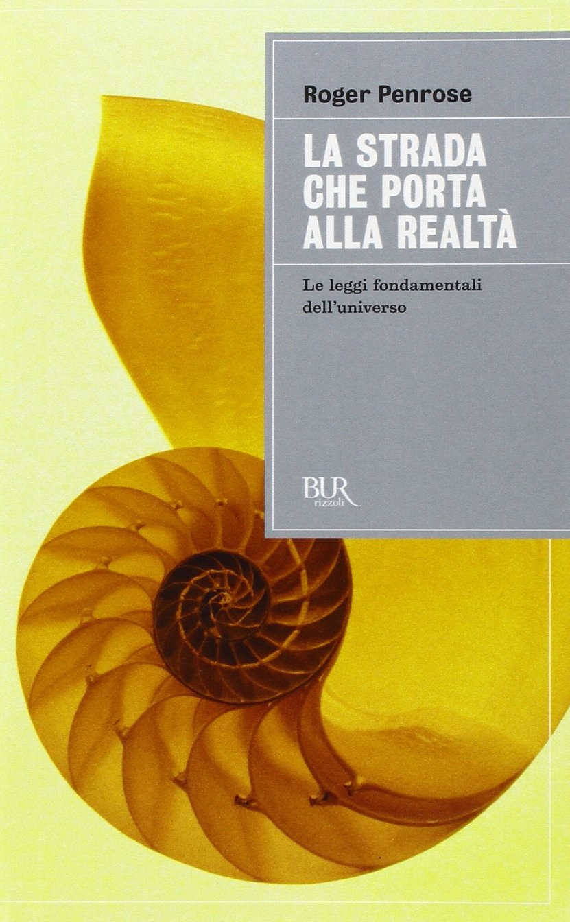 La strada che porta alla realtà. Le leggi fondamentali dell'universo Professional & Reference Books