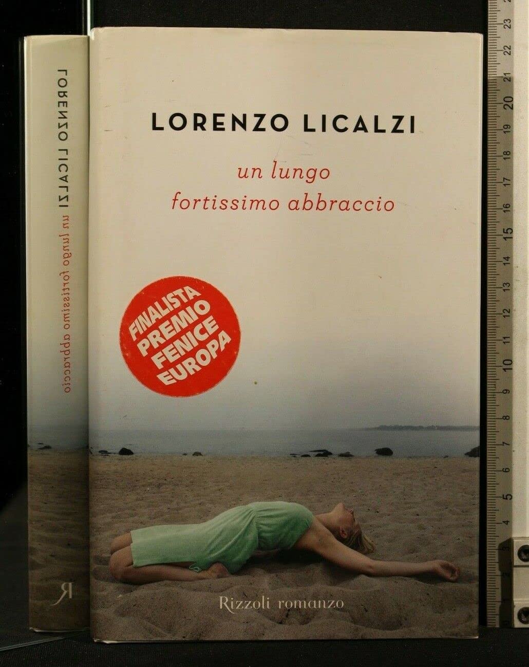 Un lungo fortissimo abbraccio (Rizzoli best) Contemporary literature