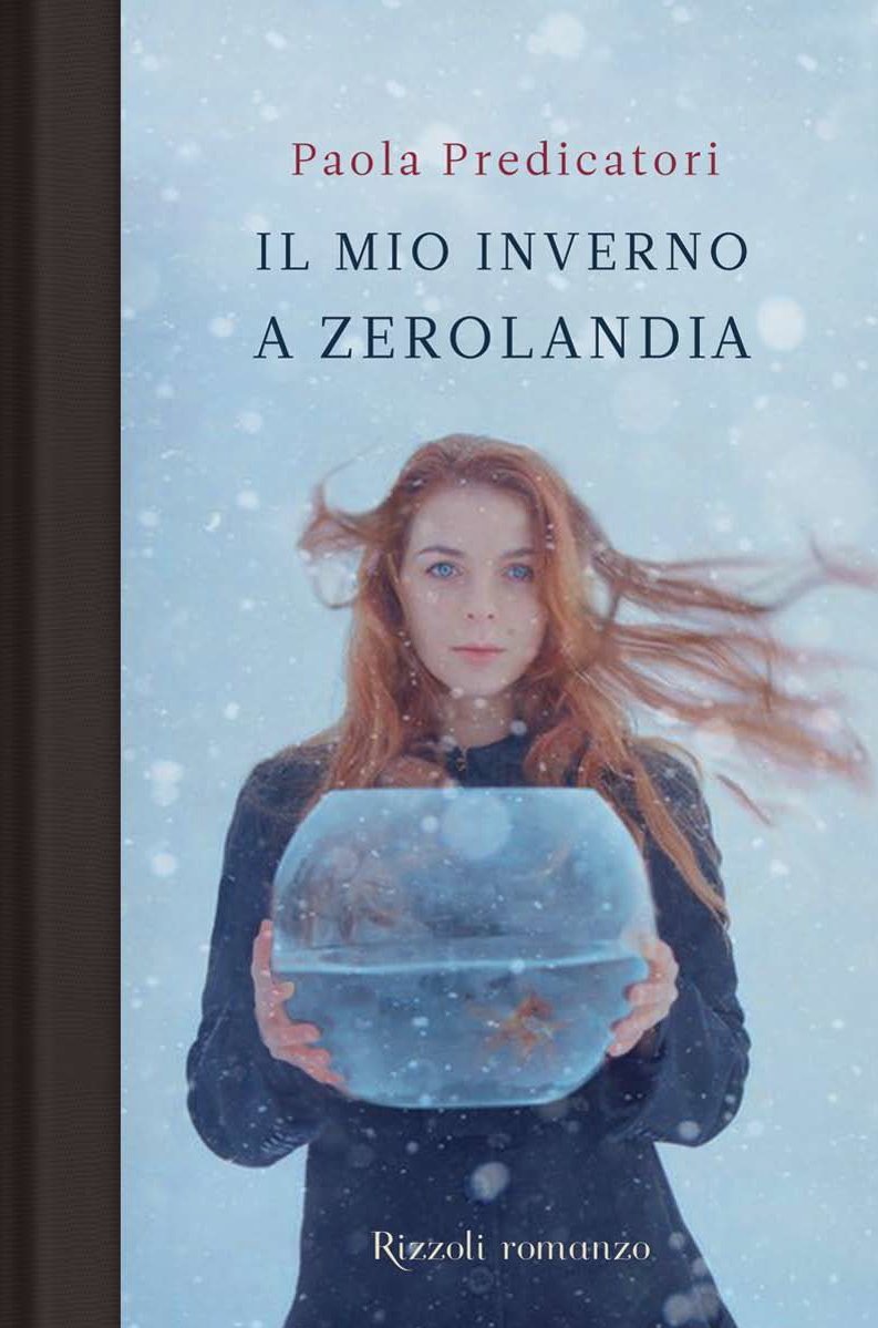 Il mio inverno a Zerolandia book