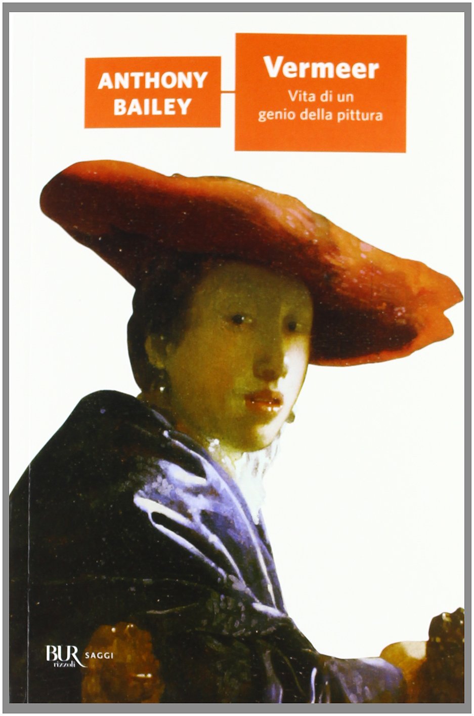 Vermeer. Vita di un genio della pittura Art & Literature