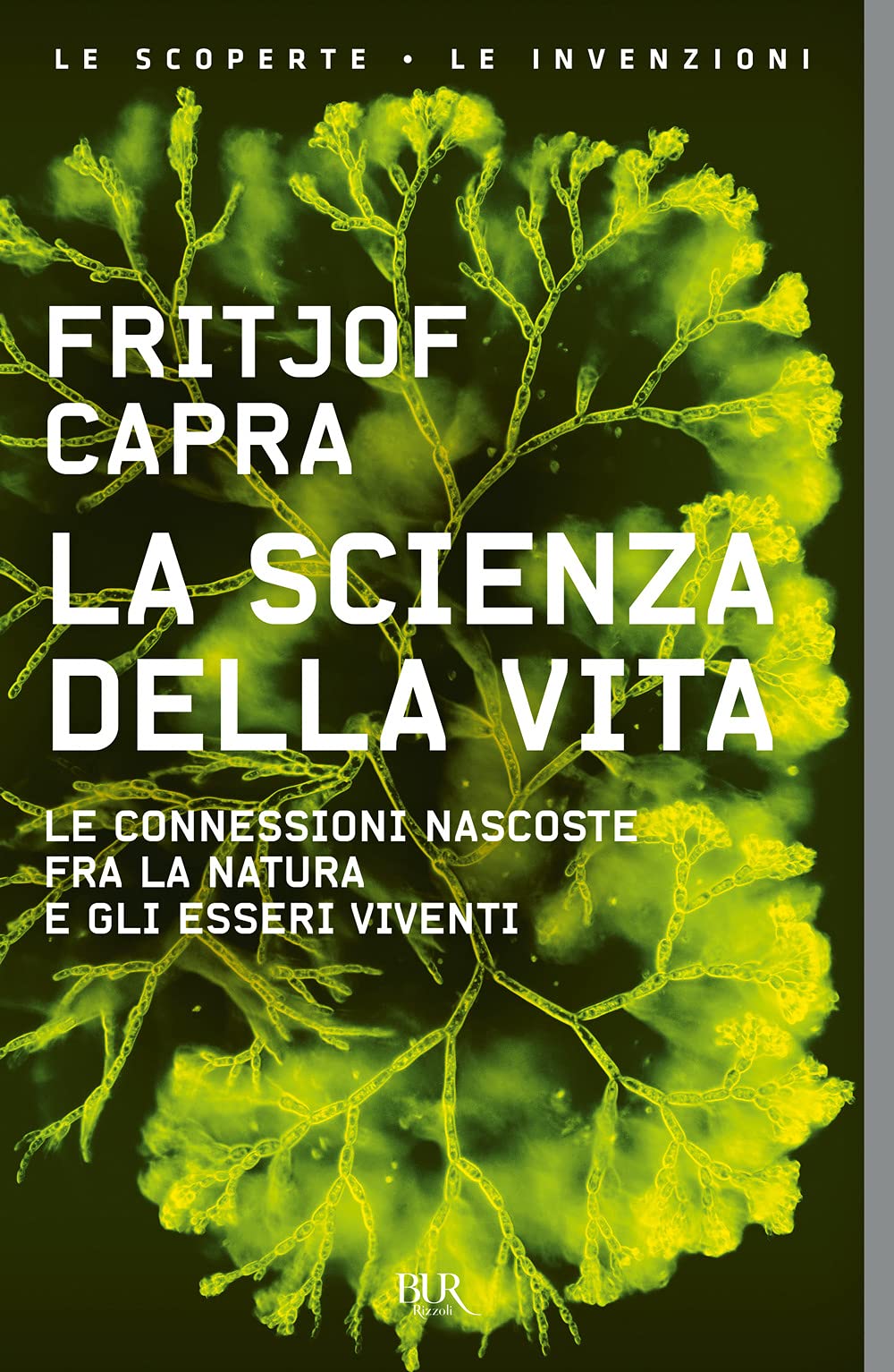 La scienza della vita. Le connessioni nascoste fra la natura e gli esseri viventi Reference Books