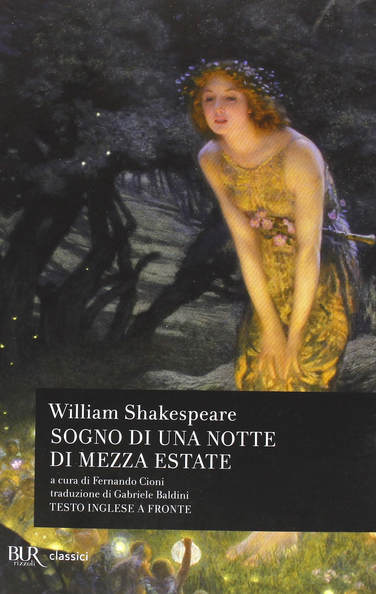 Sogno di una notte di mezza estate book