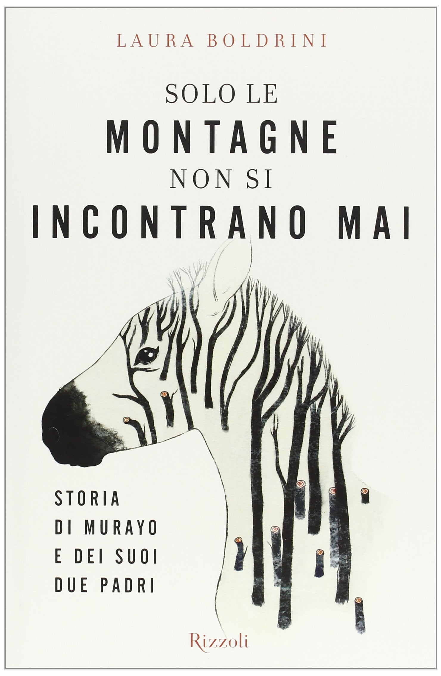 Solo le montagne non si incontrano mai (Saggi italiani) Books