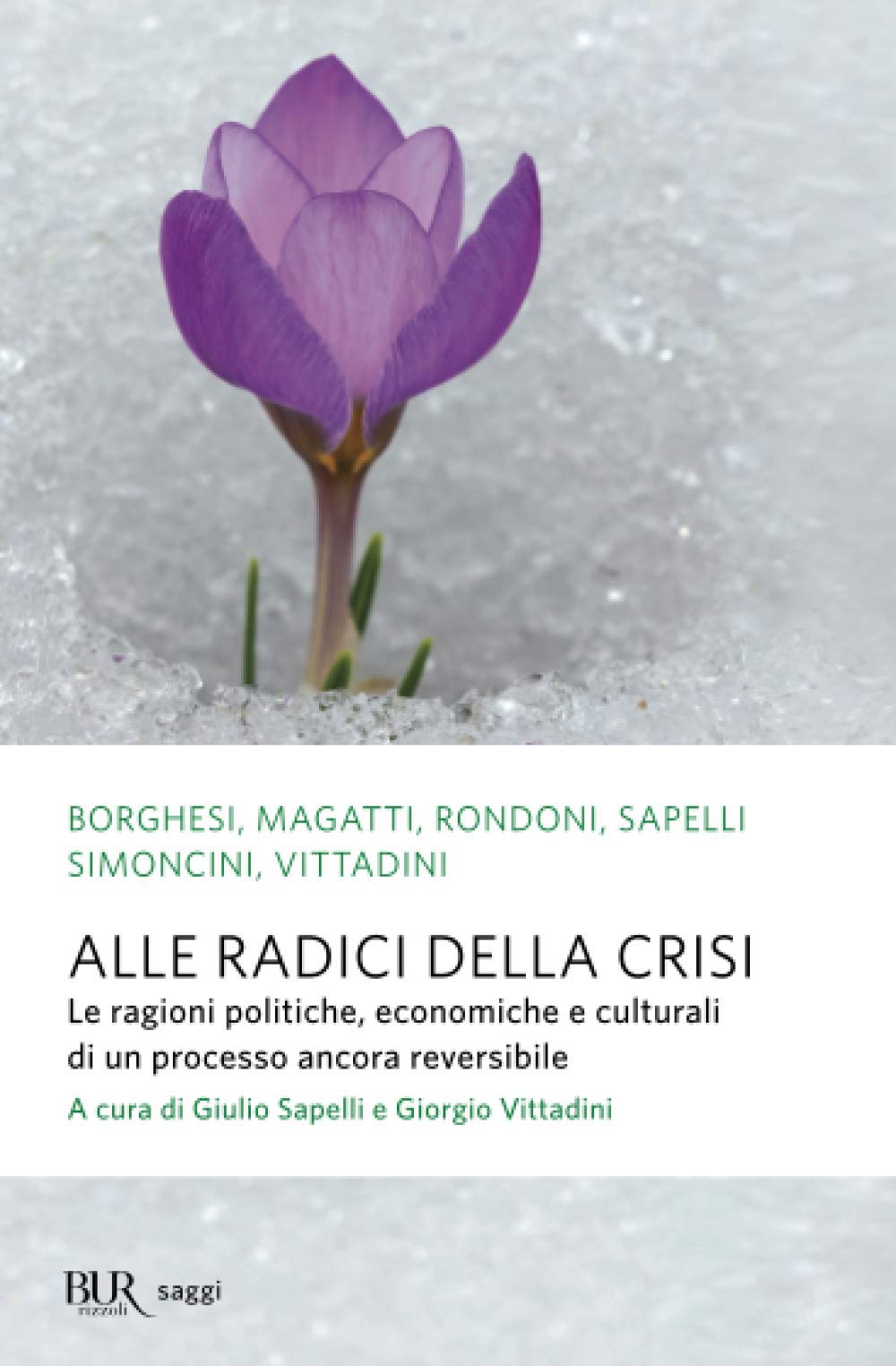 Alle radici della crisi: Le ragioni politiche, economiche e culturali di un processo ancora reversibile book