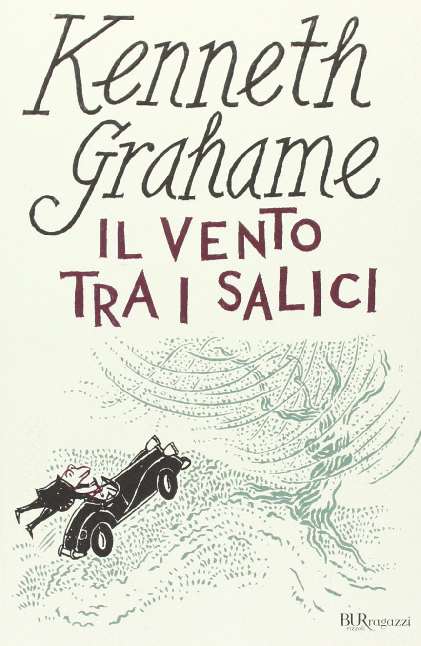 Il vento tra i salici book