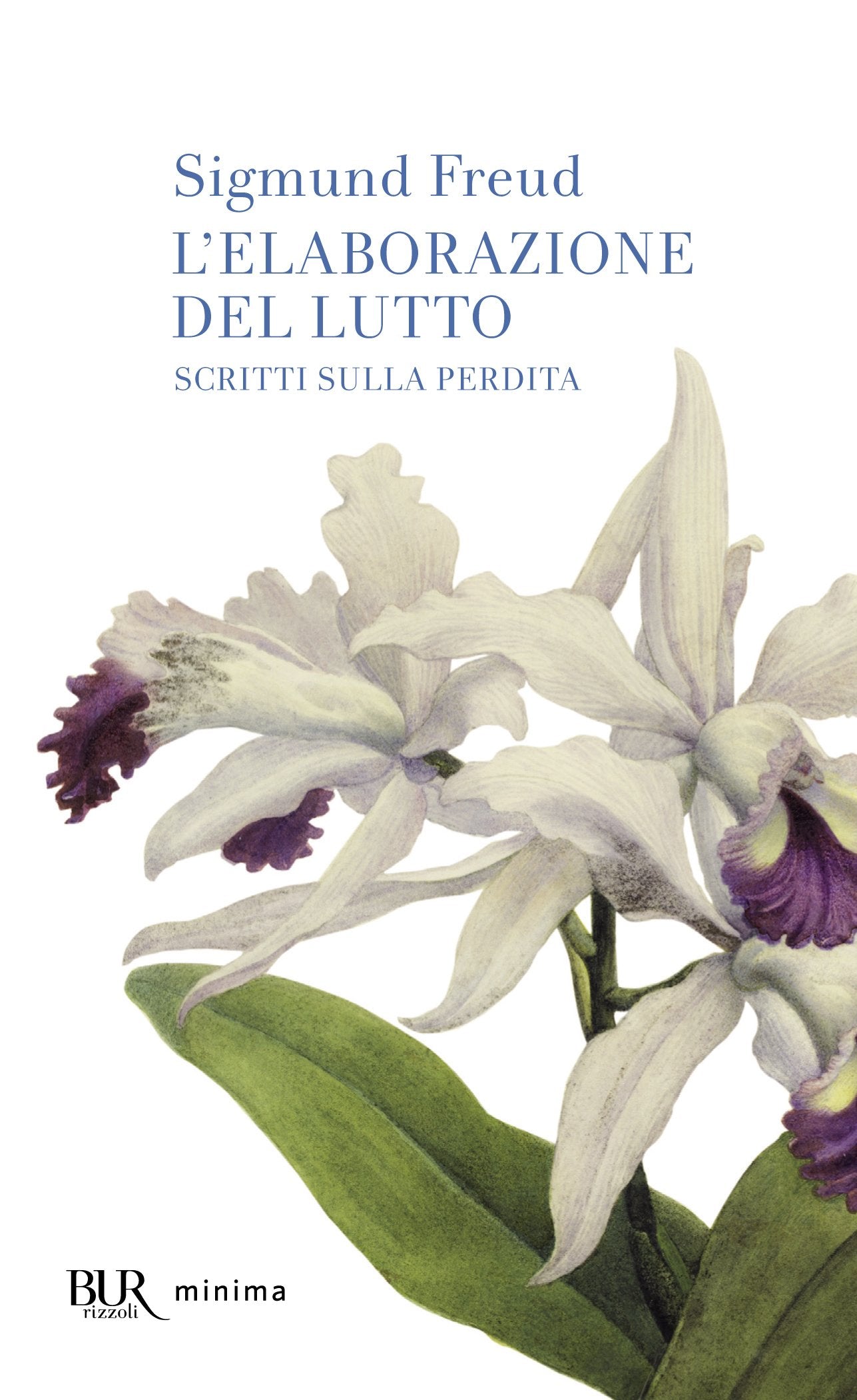 L'elaborazione del lutto. Scritti sulla perdita book