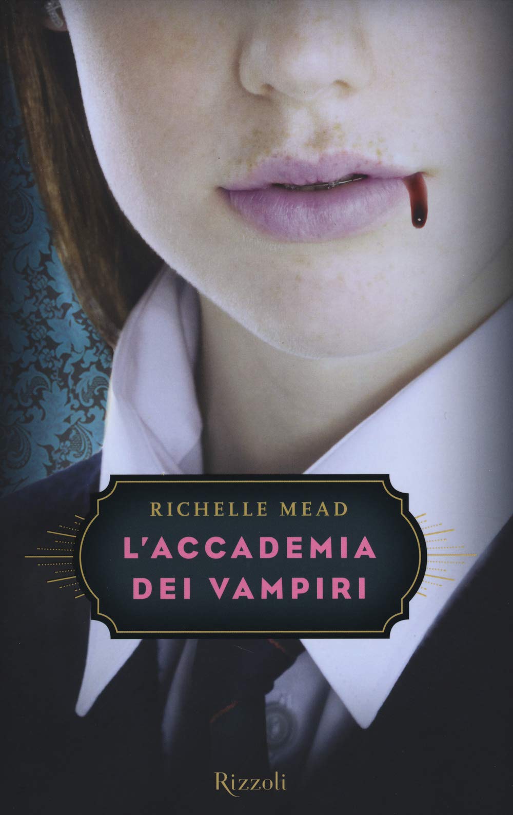 L'accademia dei vampiri book