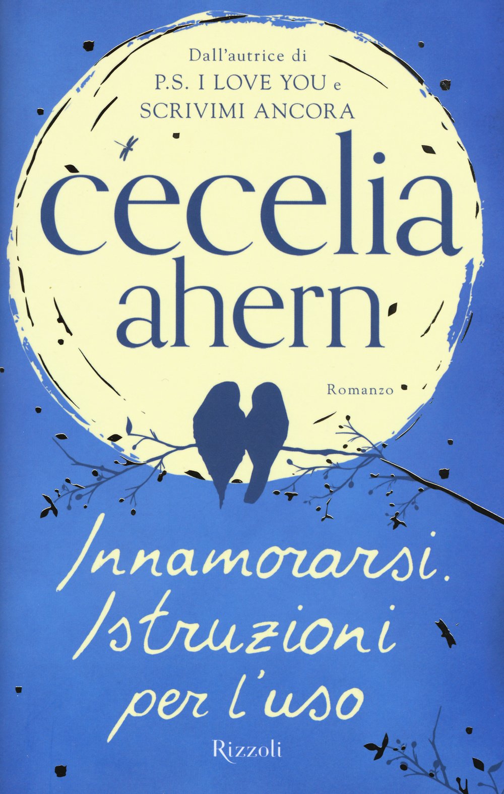 Innamorarsi. Istruzioni per l'uso (Rizzoli best) Contemporary literature