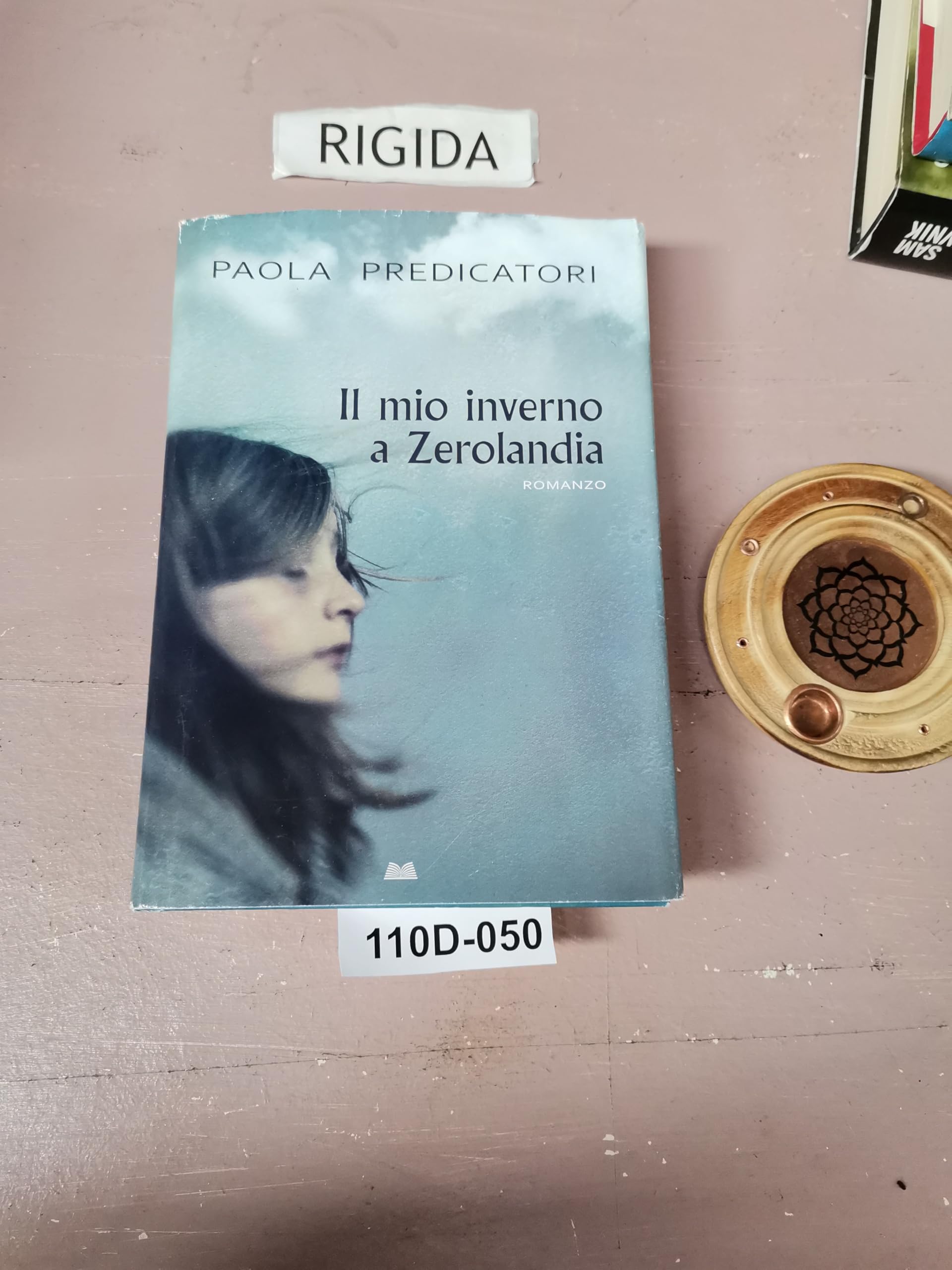 Product Image: Il mio inverno a Zerolandia