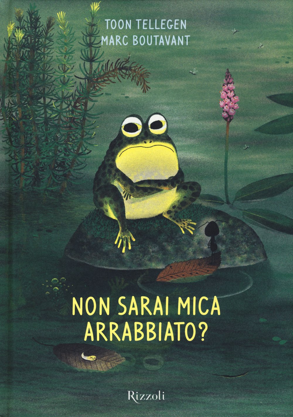 Non sarai mica arrabbiato? Ediz. illustrata book