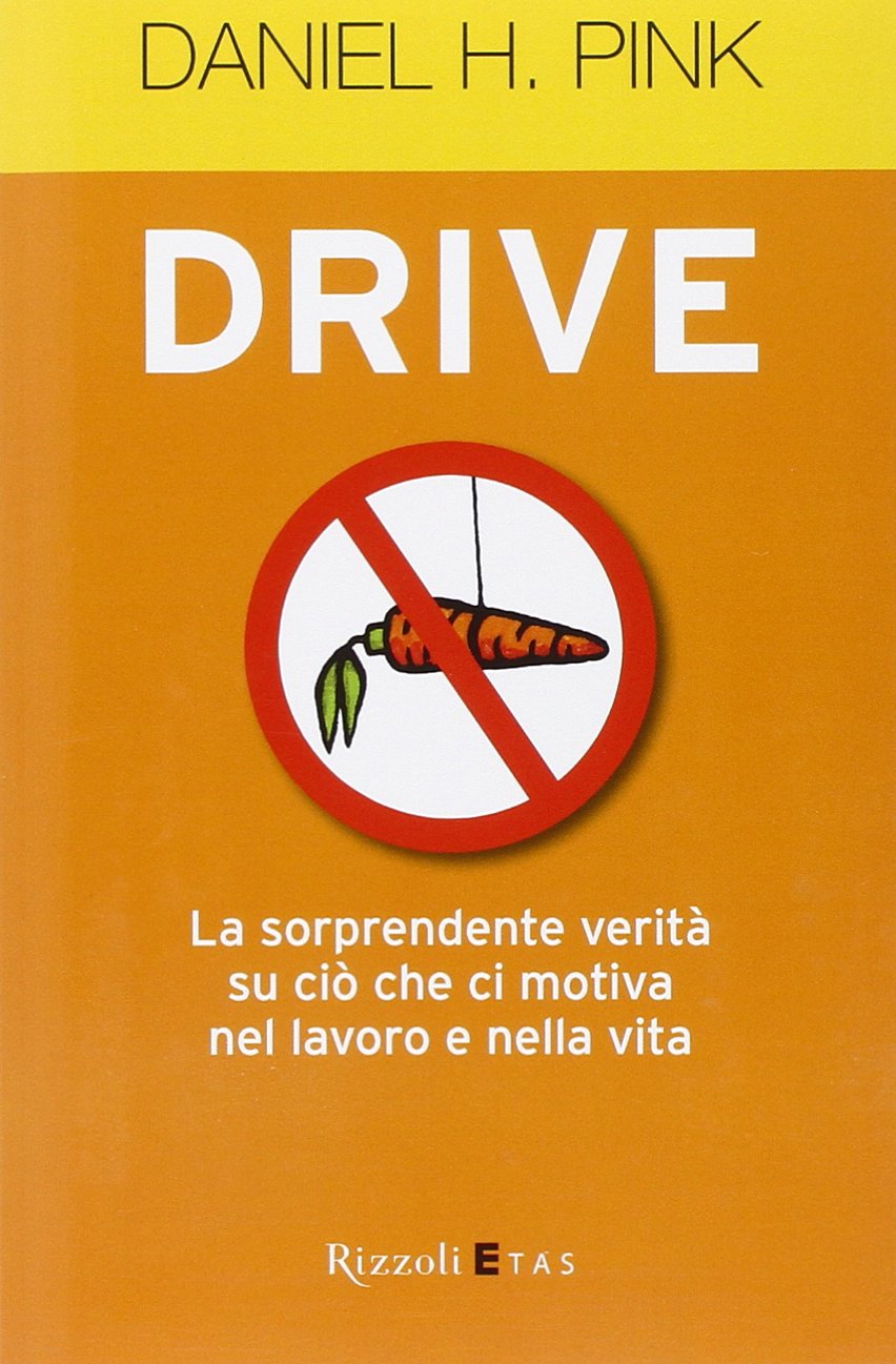 Drive. La sorprendente verità su ciò che ci motiva nel lavoro e nella vita (ETAS Management) Business, Finance & Career