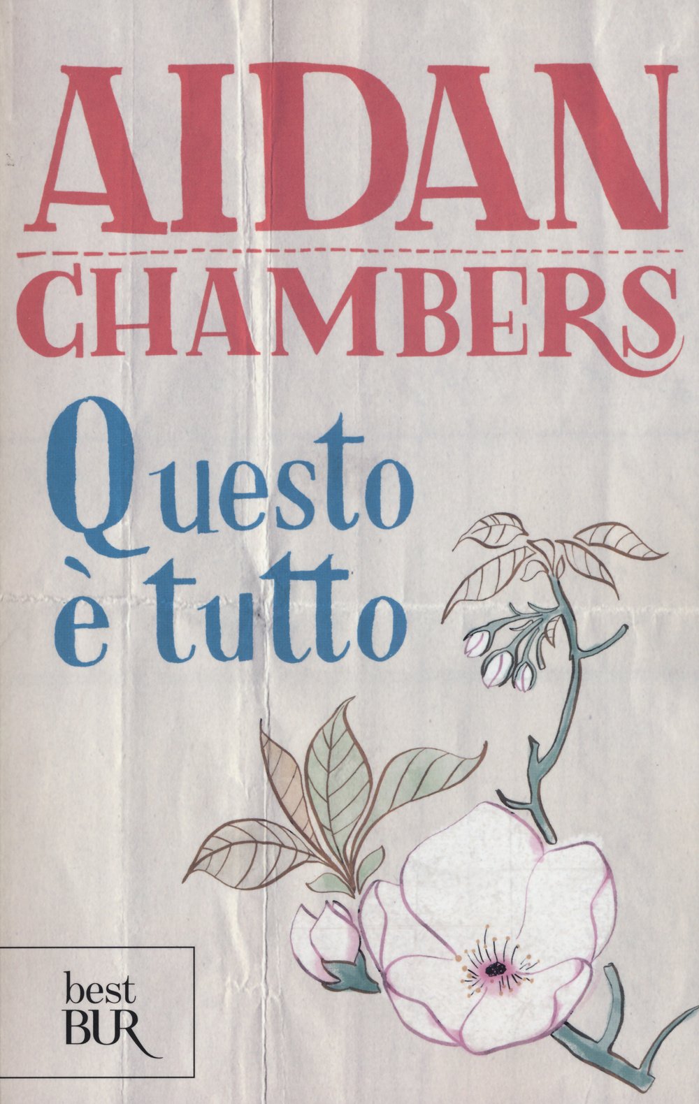 Questo è tutto. I racconti del cuscino di Cordelia Kenn Essays & Short Stories