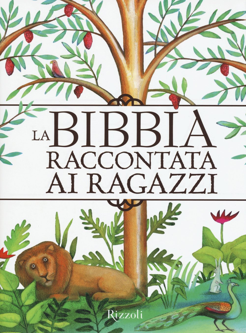 La Bibbia raccontata ai ragazzi Non-fiction