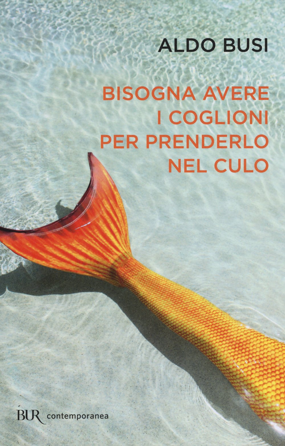 Bisogna avere i coglioni per prenderlo nel culo Contemporary literature