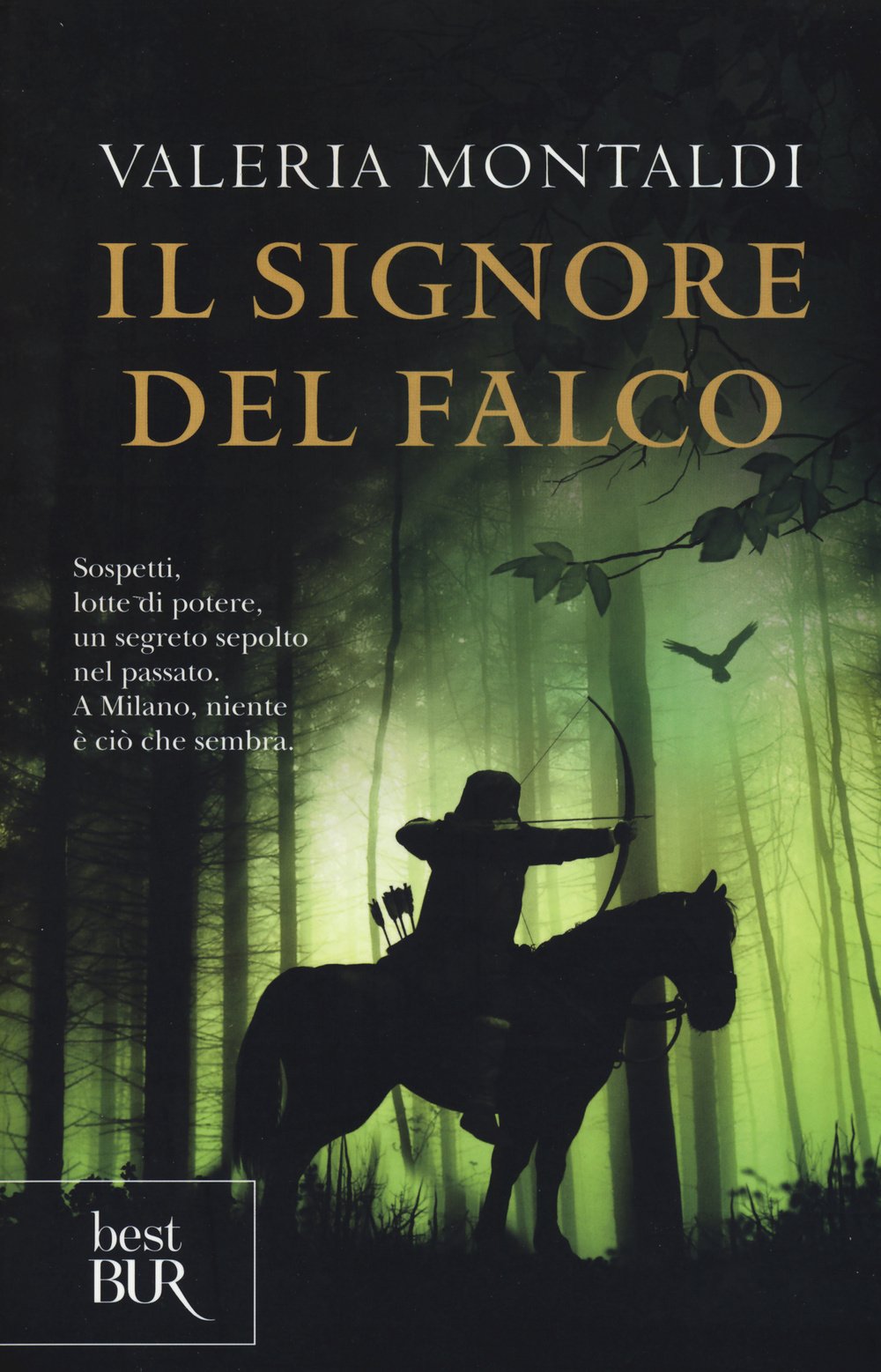 Il signore del falco Historical Fiction