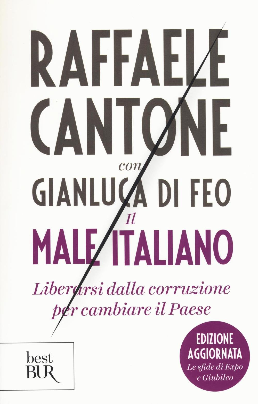 Il male italiano. Liberarsi dalla corruzione per cambiare il Paese book