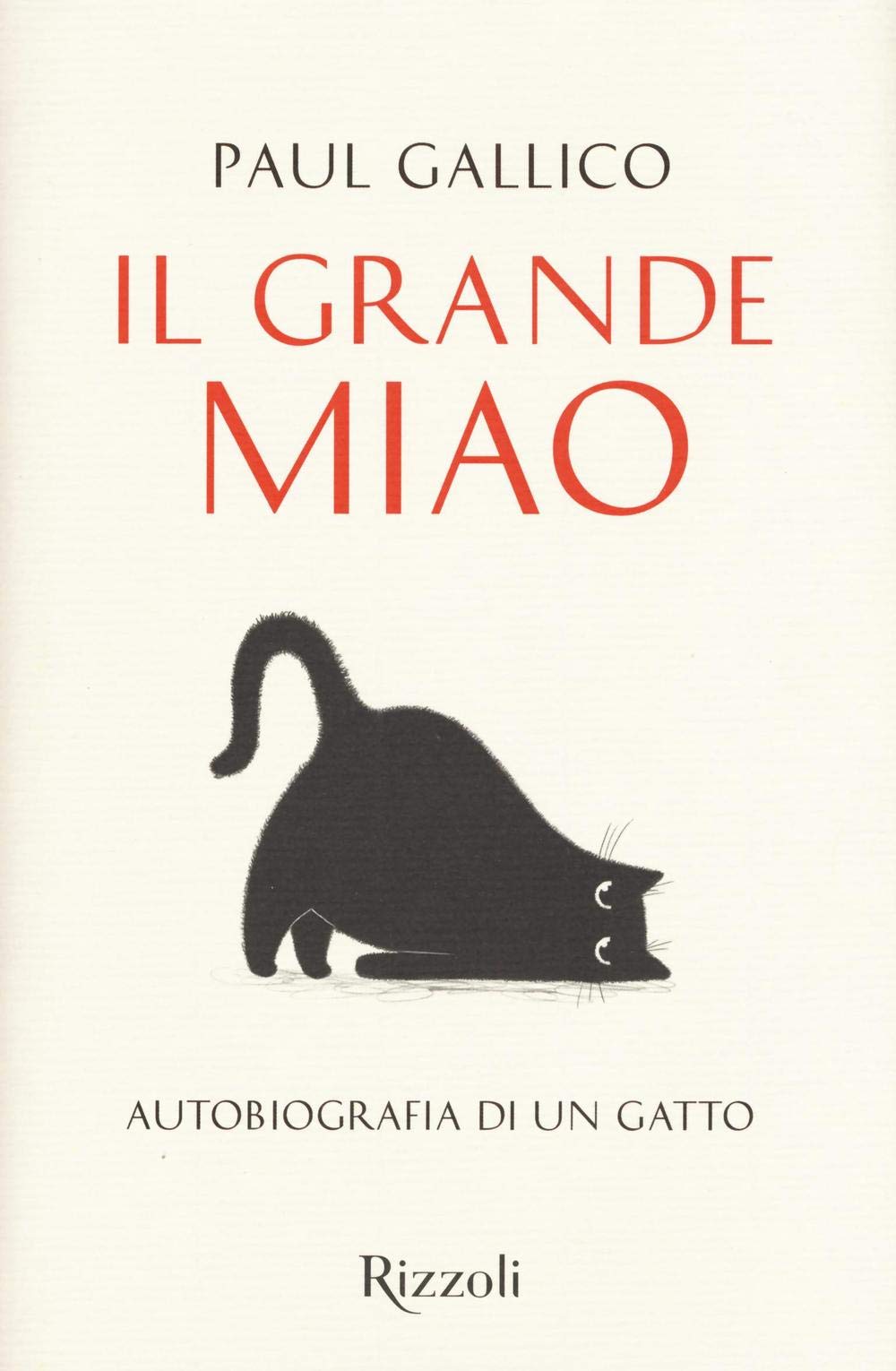 Il grande miao (Rizzoli best) Contemporary literature