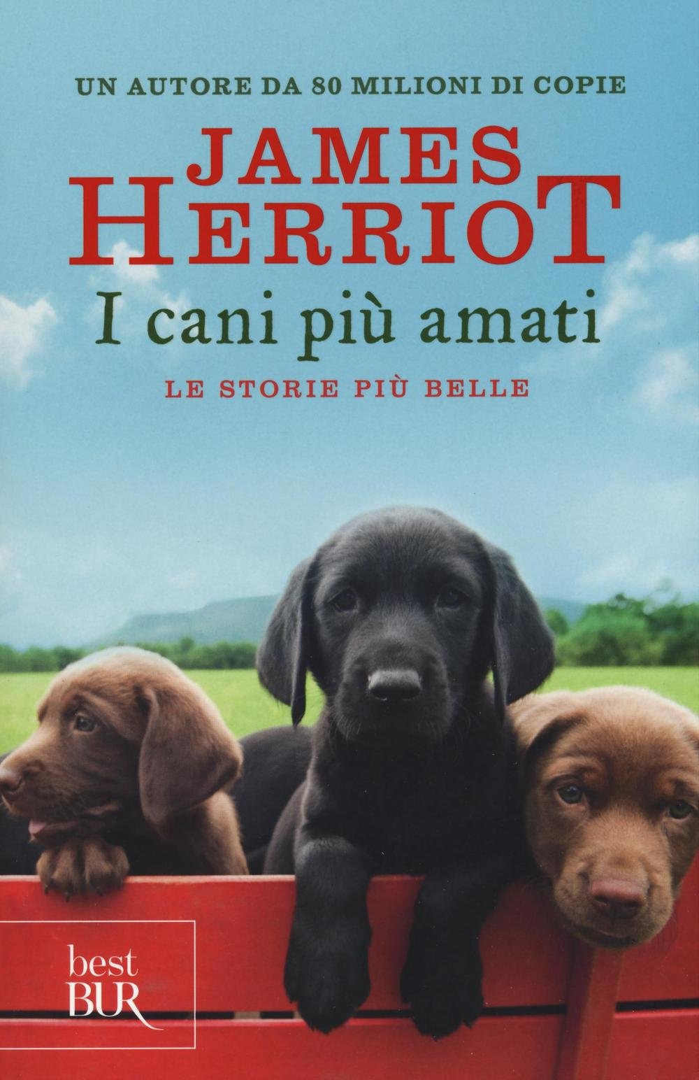 I cani più amati, le storie più belle Essays & Short Stories