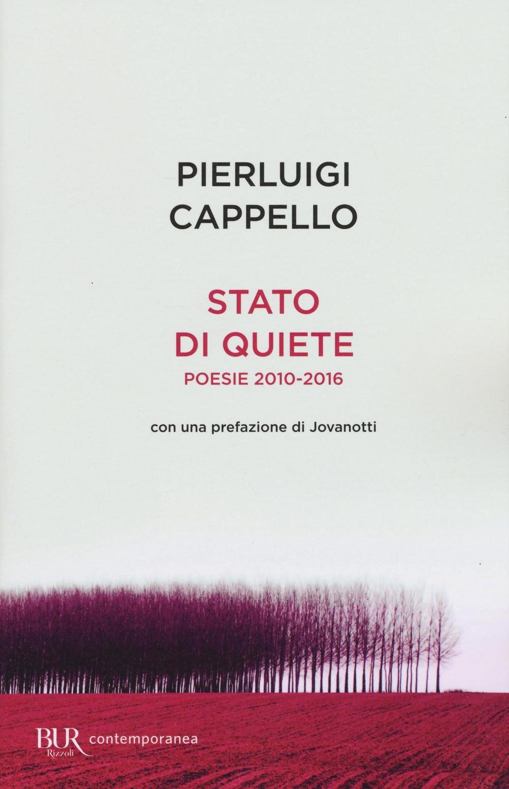 Stato di quiete. Poesie 2010-2016 Poetry