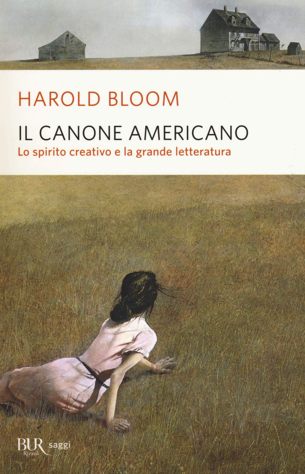 Il canone americano. Lo spirito creativo e la grande letteratura Contemporary literature