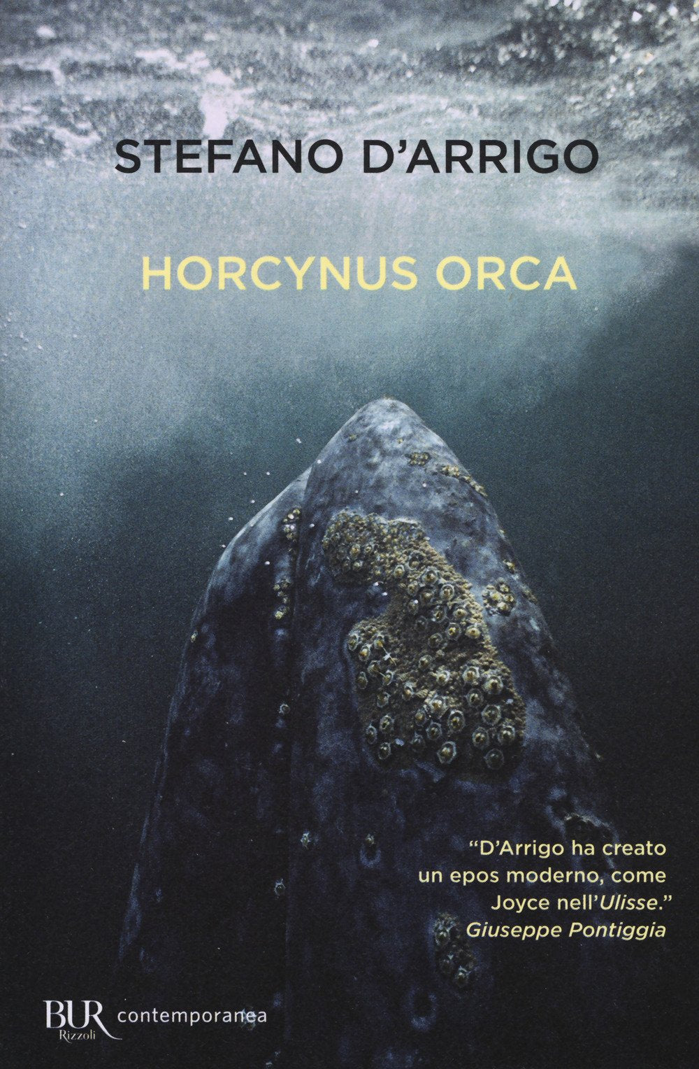 Horcynus Orca (BUR Contemporanea) Contemporary literature