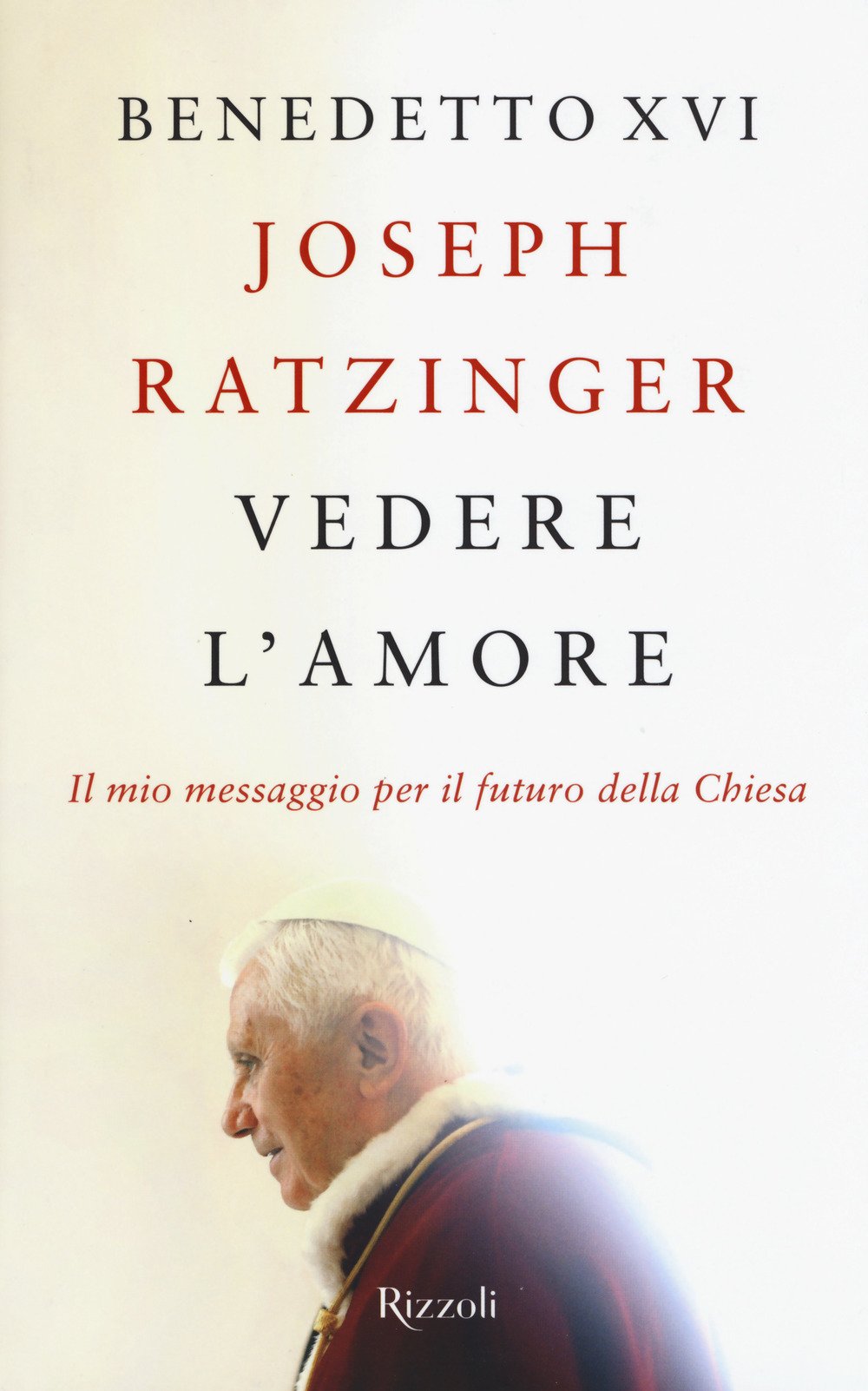 Vedere l'amore. Il mio messaggio per il futuro della Chiesa book