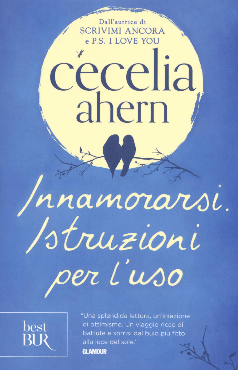Innamorarsi. Istruzioni per l'uso book