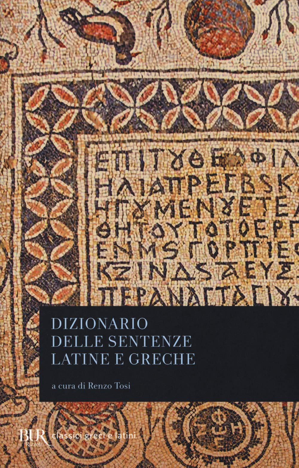Dizionario delle sentenze latine e greche (BUR Classici greci e latini) Contemporary literature