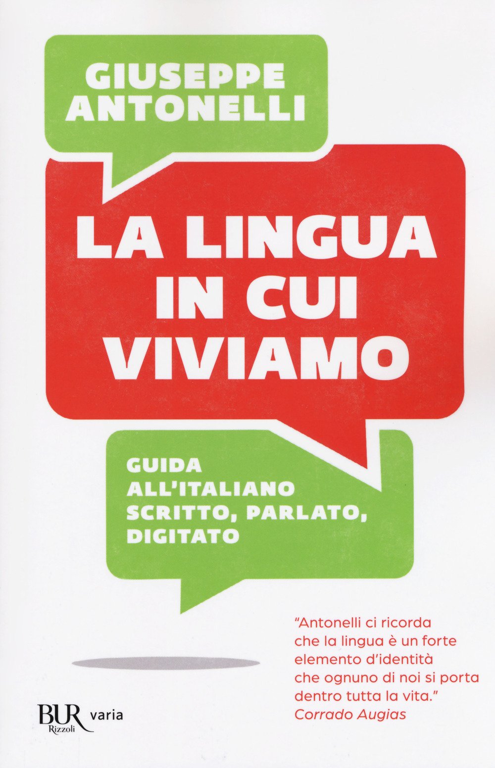 La lingua in cui viviamo. Guida all'italiano scritto, parlato, digitato Social Sciences