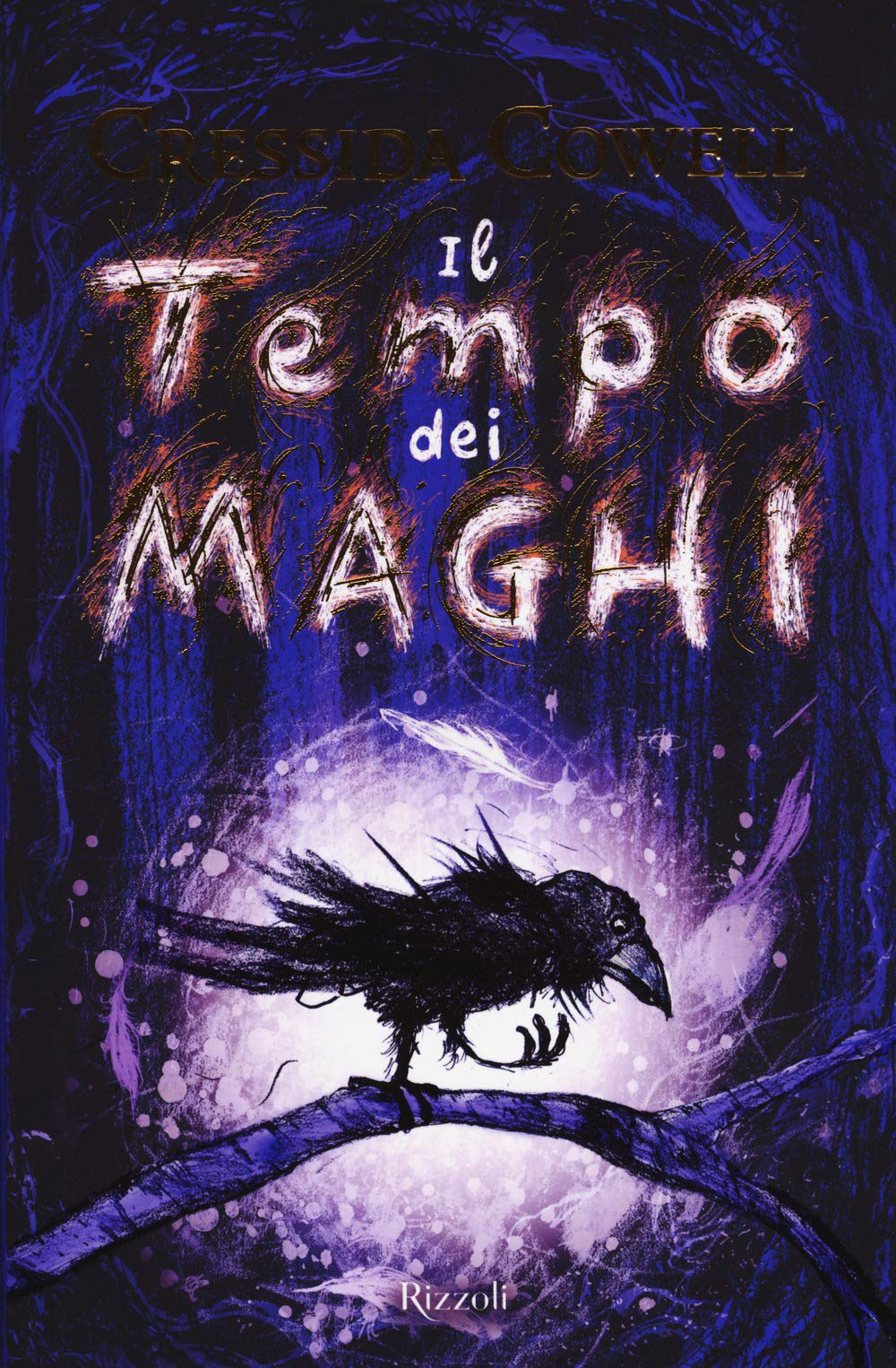 Il tempo dei maghi book