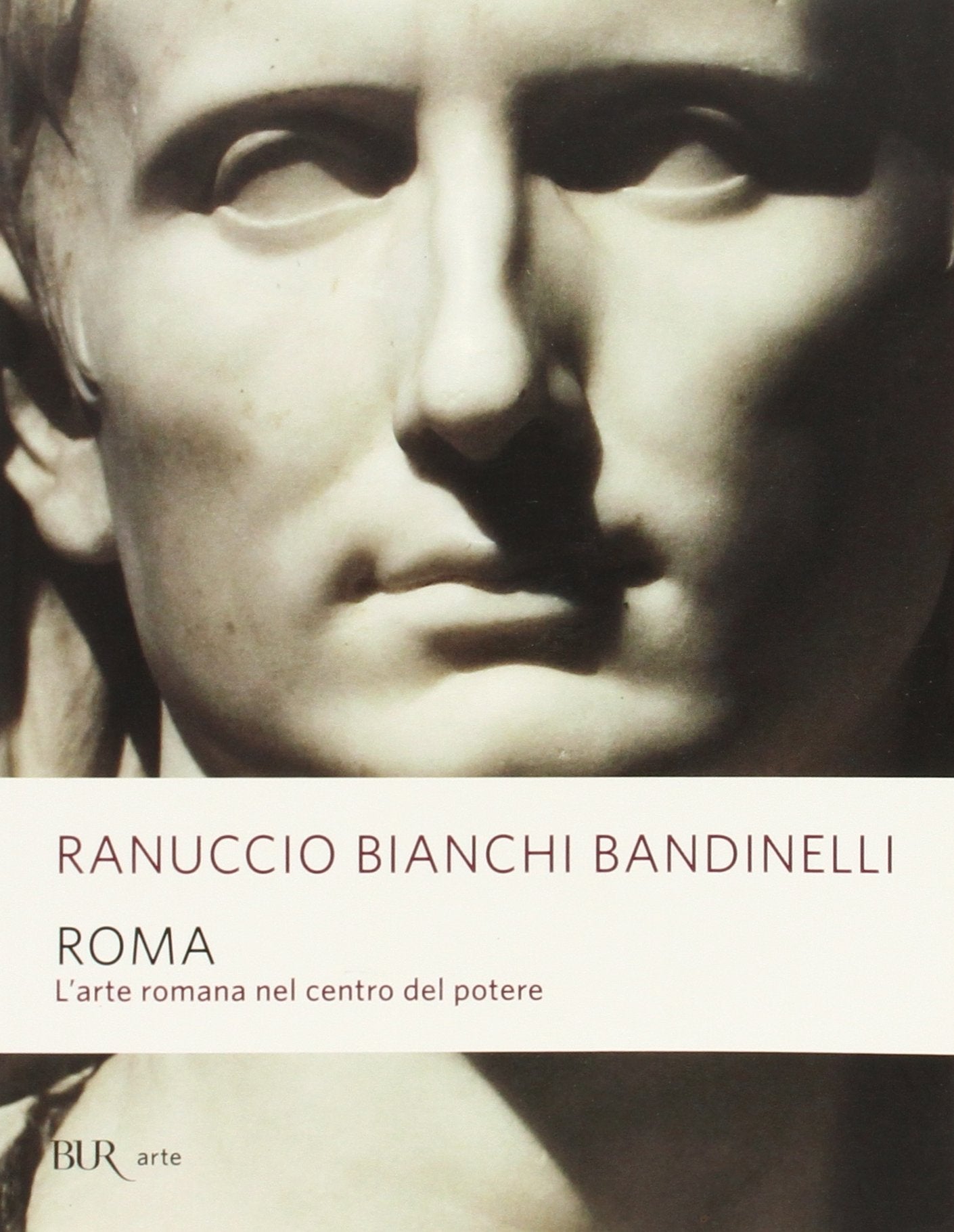 Roma. L'arte romana nel centro del potere book