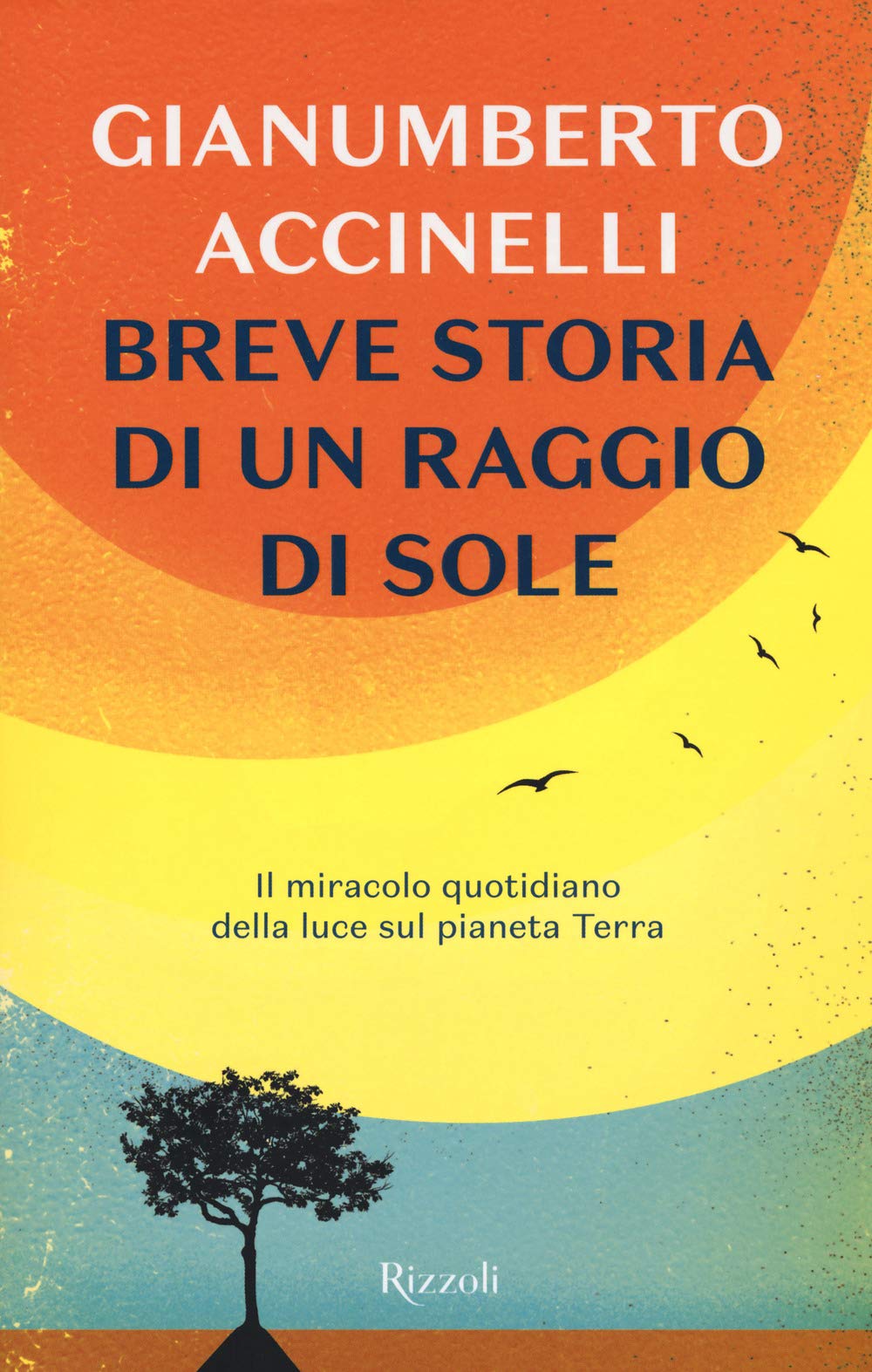 Breve storia di un raggio di sole. Il miracolo quotidiano della luce sul pianeta Terra Leisure, Home & Garden
