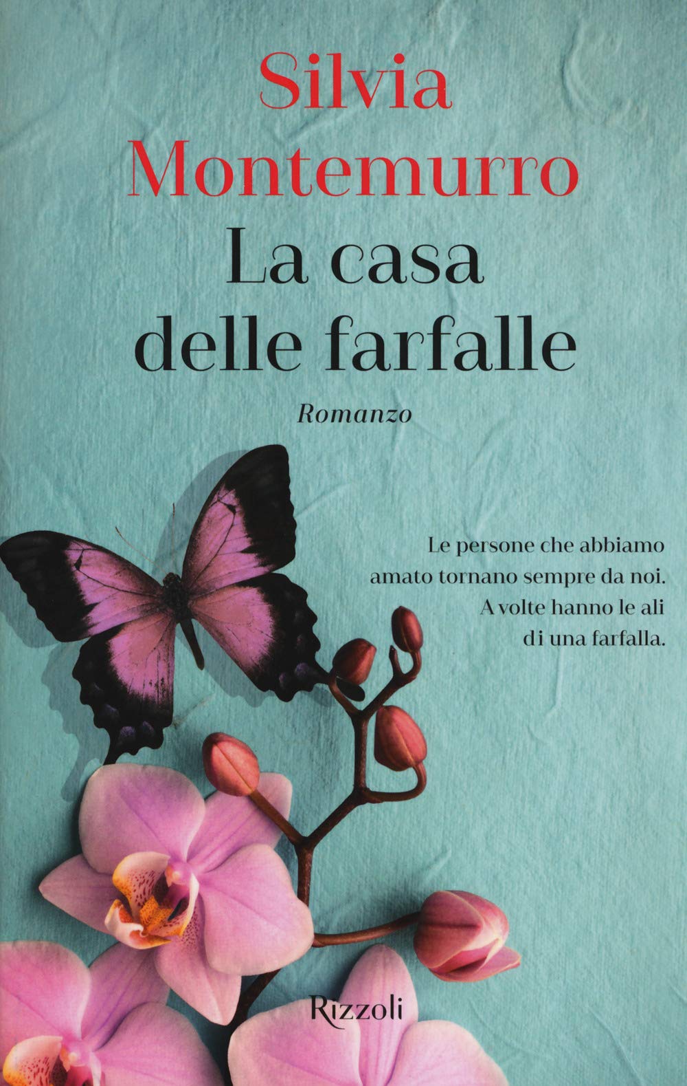 La casa delle farfalle book