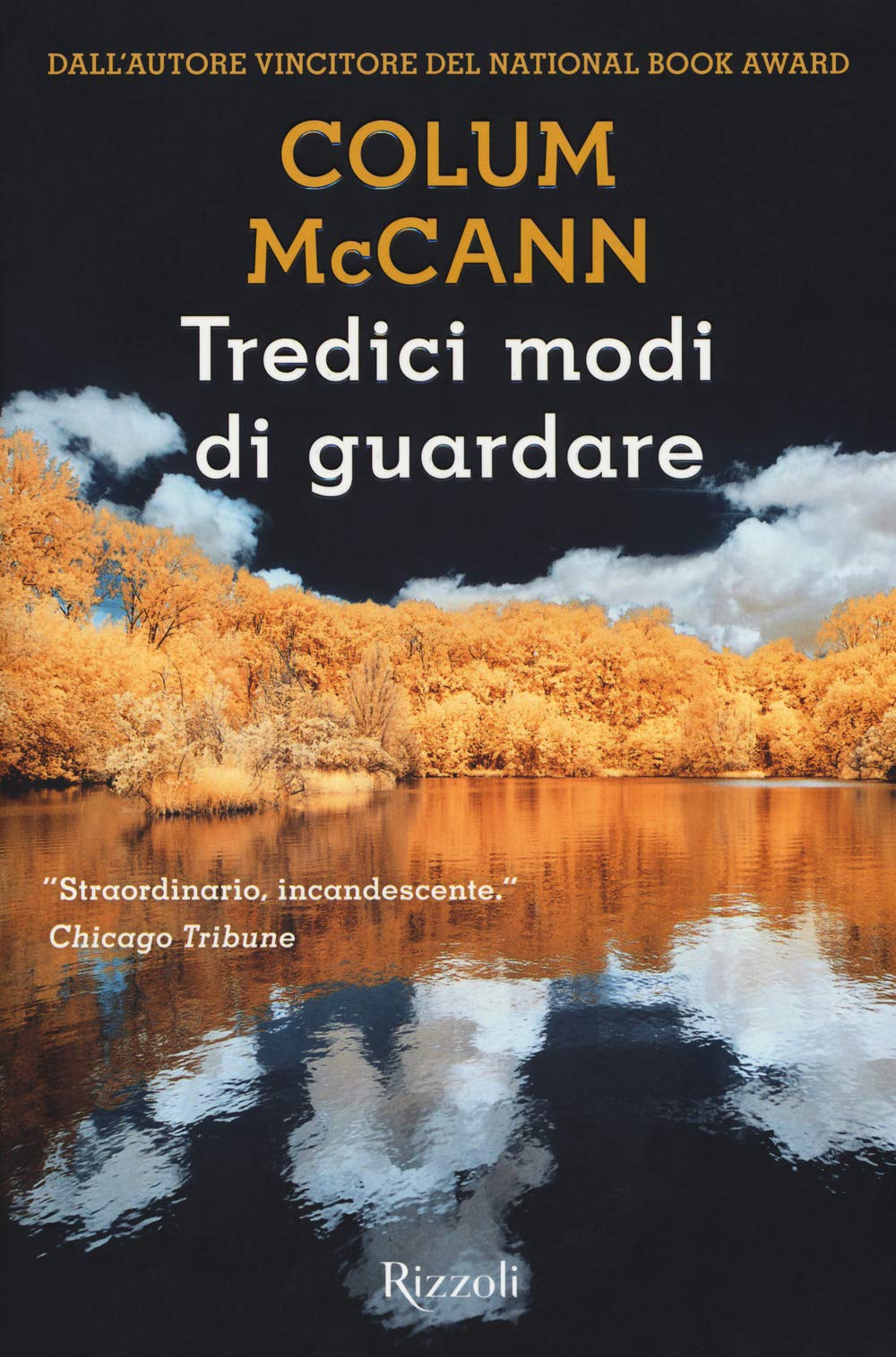 Tredici modi di guardare book