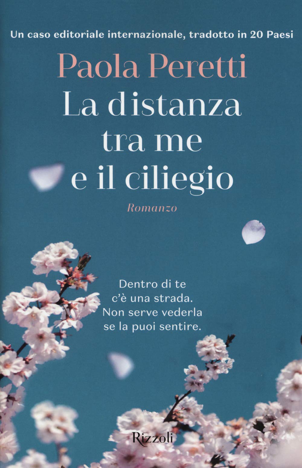 La distanza tra me e il ciliegio book