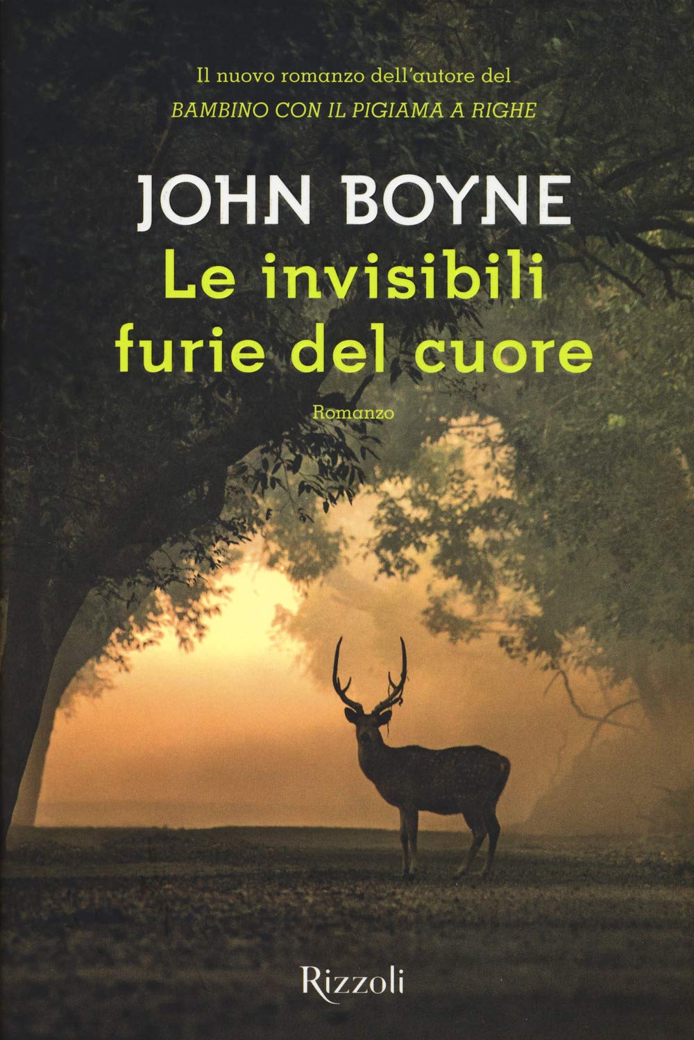 Le invisibili furie del cuore book