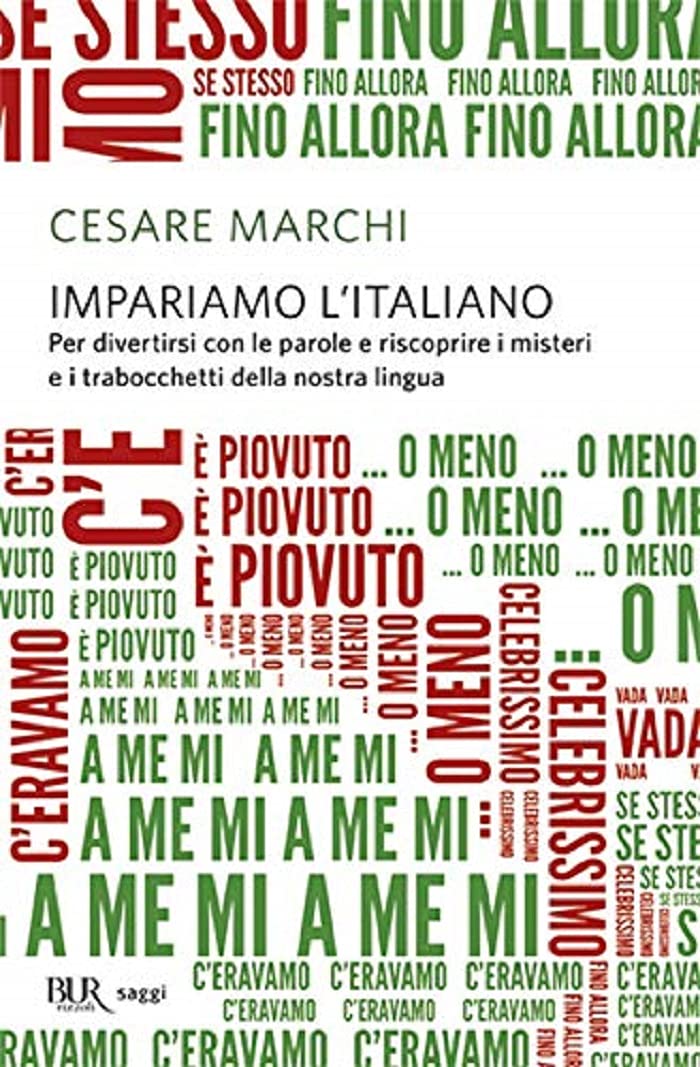 Impariamo l'italiano book