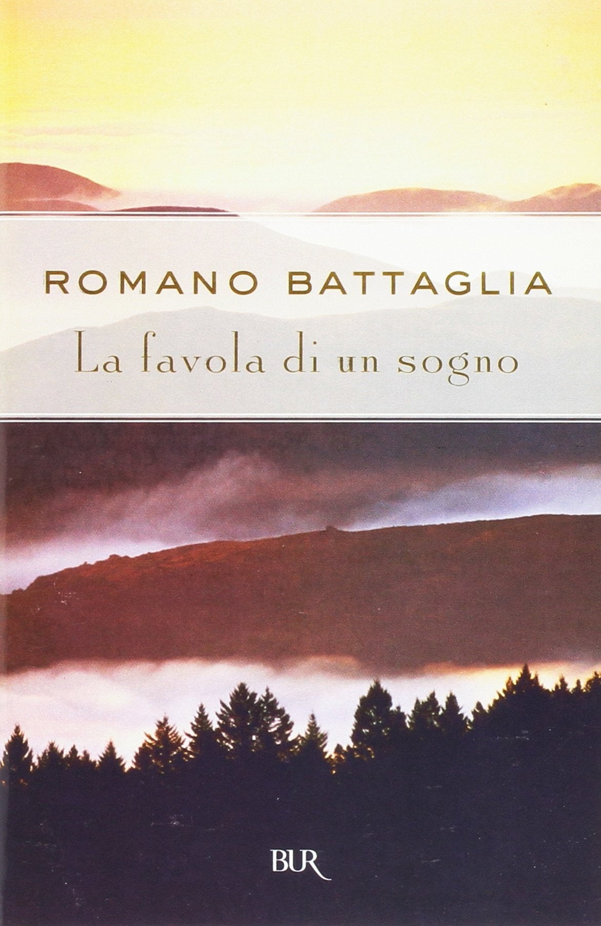La favola di un sogno book