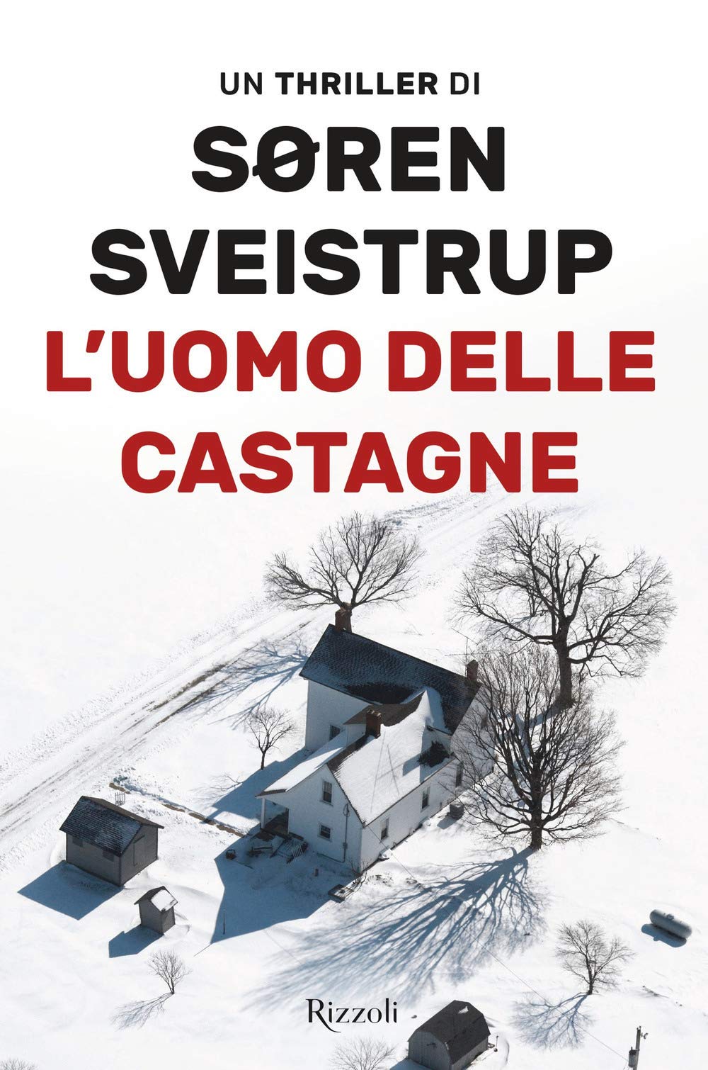 L'uomo delle castagne (Rizzoli narrativa) Contemporary literature