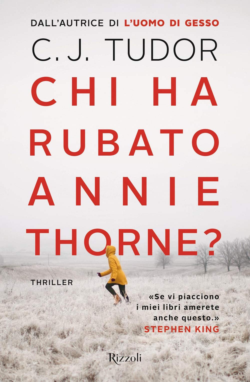 Chi ha rubato Annie Thorne? (Rizzoli narrativa) Contemporary literature