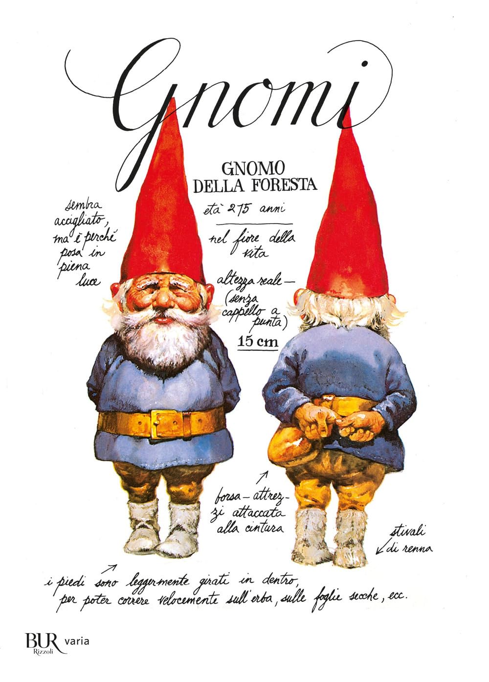 Gnomi (BUR Illustrati) Novels & Short Stories